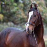 08611d61-d62a-4811-ae38-c3a50331da80