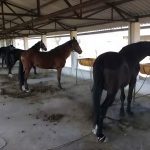 f3c022ee-a88f-464d-ba76-f3e812996b9e