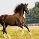 24997560-0cf4-4544-83ec-78f253bd9d4f